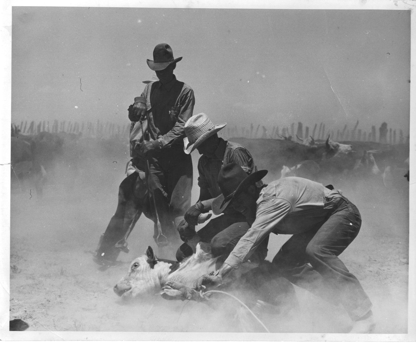 BELL RANCH COWBOYS IMAGE