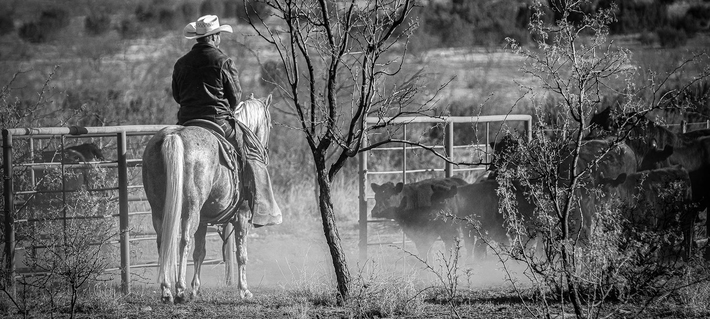 Covered S Ranch