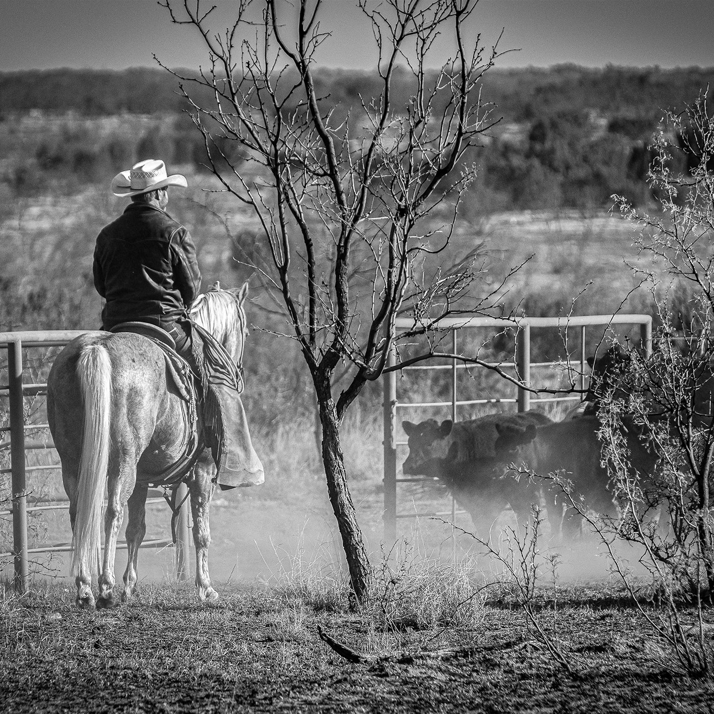 Covered S Ranch