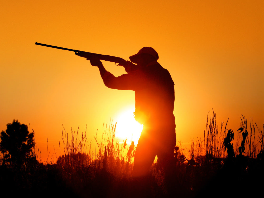 Hunter with shotgun at sunrise