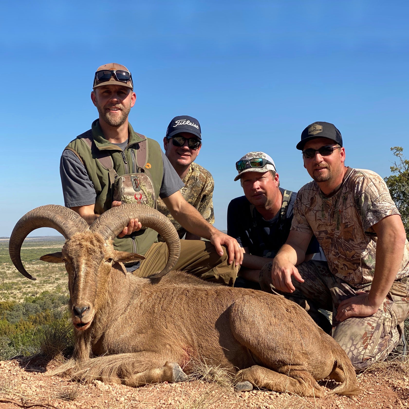 Free-range Gallery – Covered S Ranch