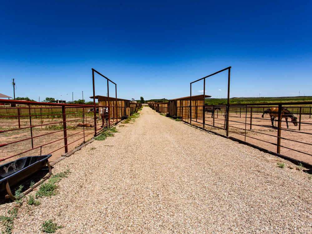 Roping Rentals & Events | Covered S Ranch
