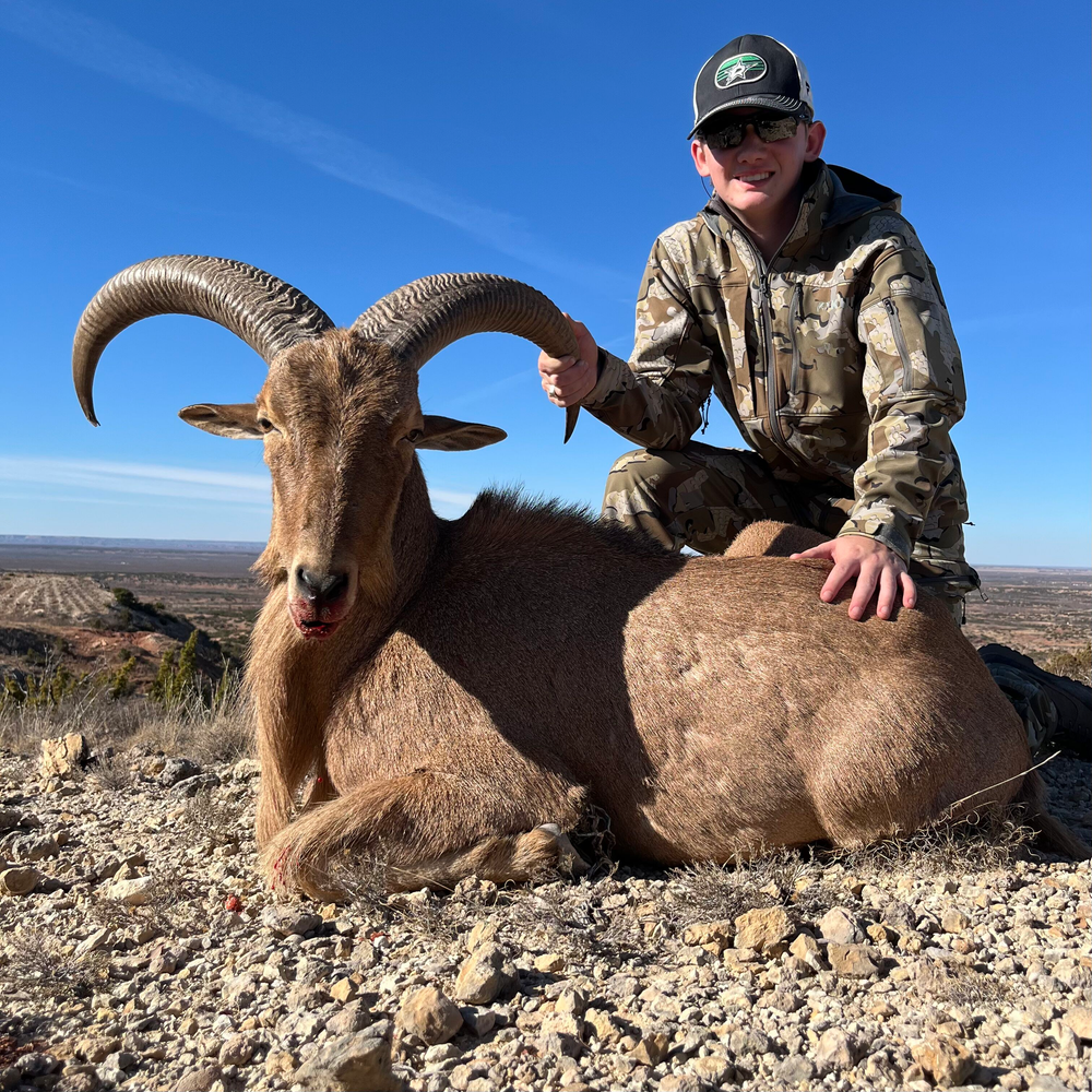 Free-range Gallery – Covered S Ranch
