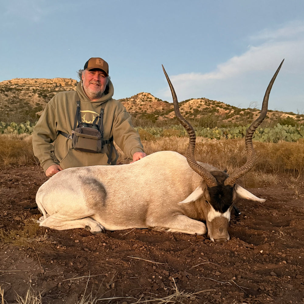 Exotics Gallery – Covered S Ranch