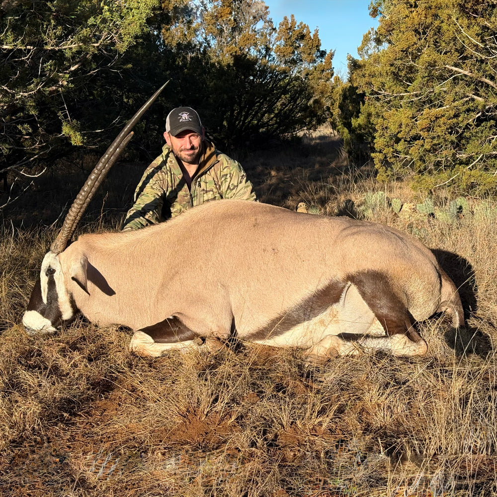 Exotics Gallery – Covered S Ranch