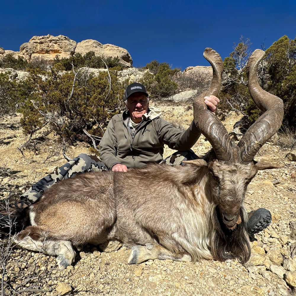Exotics Gallery – Covered S Ranch