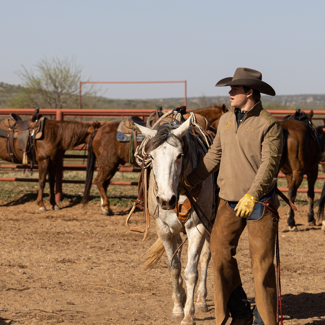 Cowboying Gallery – Covered S Ranch
