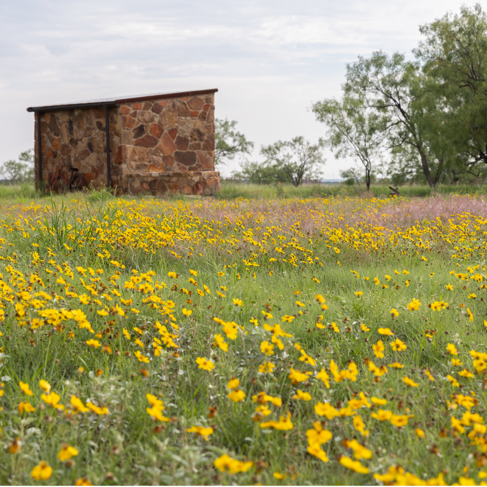 Ranch Gallery – Covered S Ranch