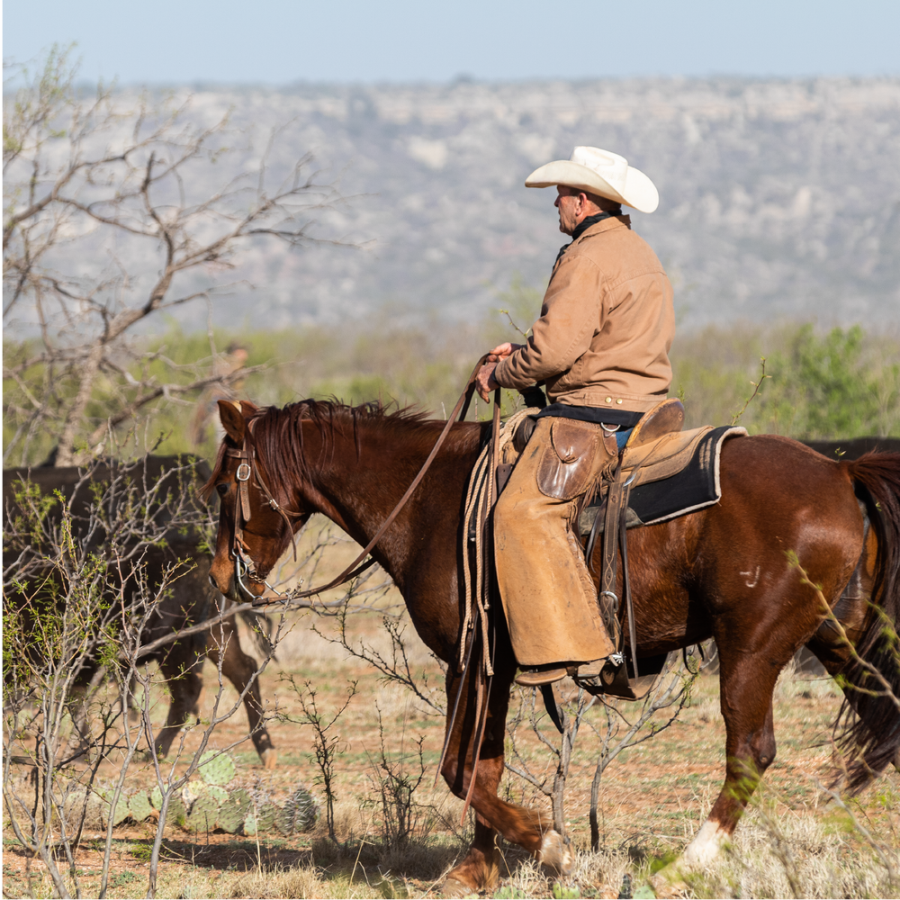 Cowboying Gallery – Covered S Ranch