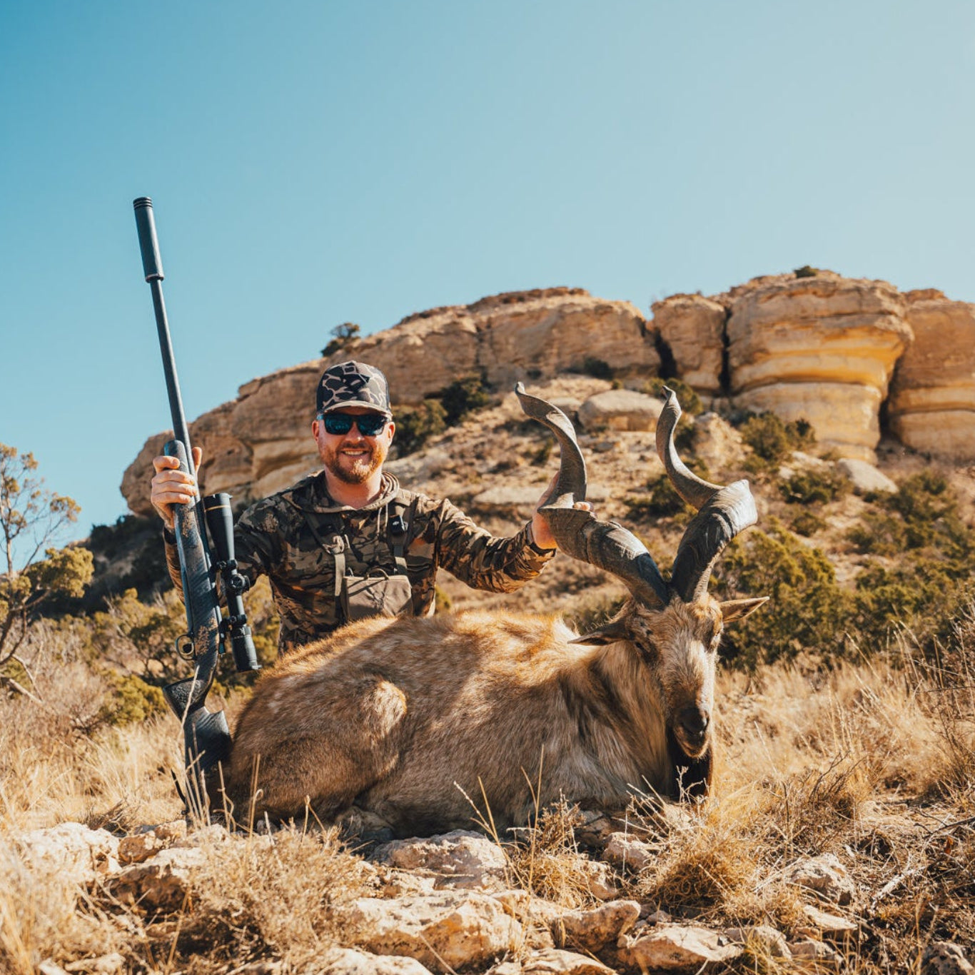 Markhor on Covered S Ranch