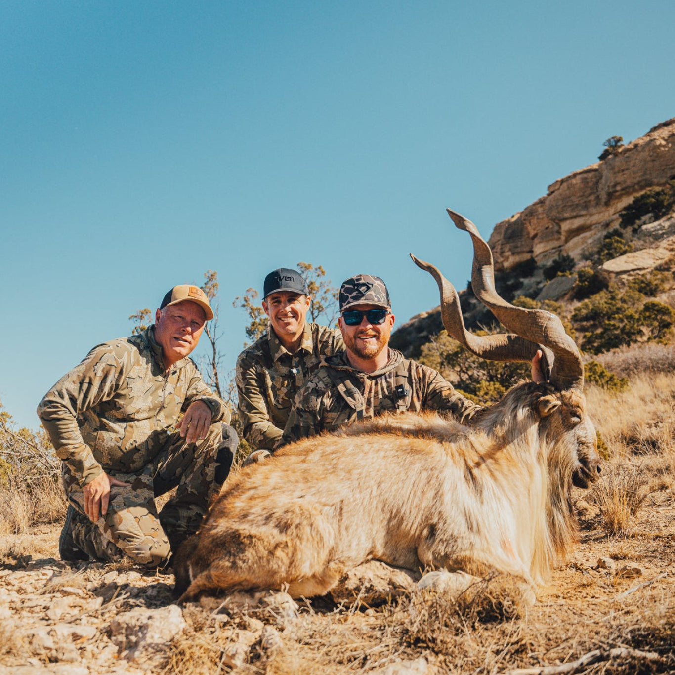 Markhor hunt at Covered S Ranch