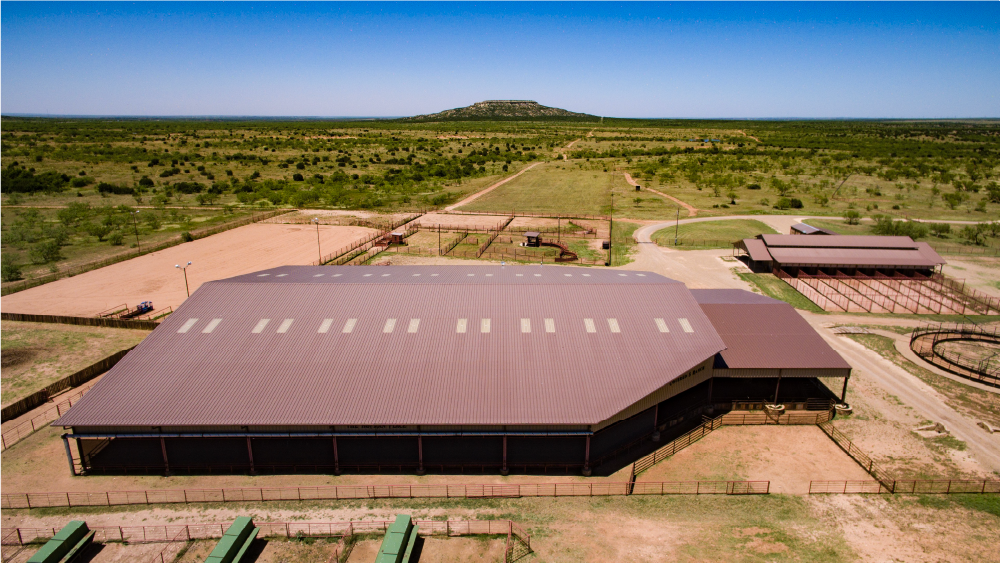 Covered S Ranch: All Natural Beef and Hunting Experience