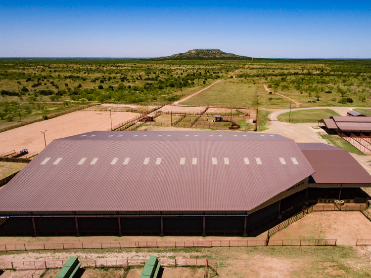 Covered S Ranch: All Natural Beef and Hunting Experience