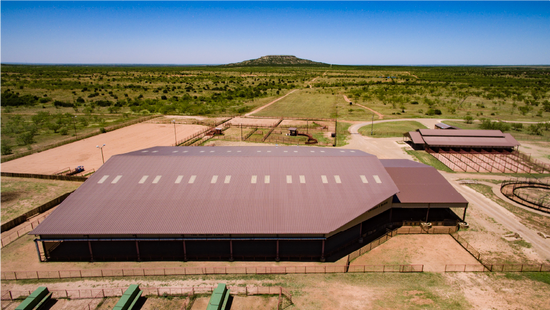 Texas Roping Arena Ranches Covered S Ranch: All Natural Beef and Hunting Experience
